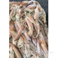 Japanese Common Squid Frozen Small Squid Todarodes Pacificus Manufactory